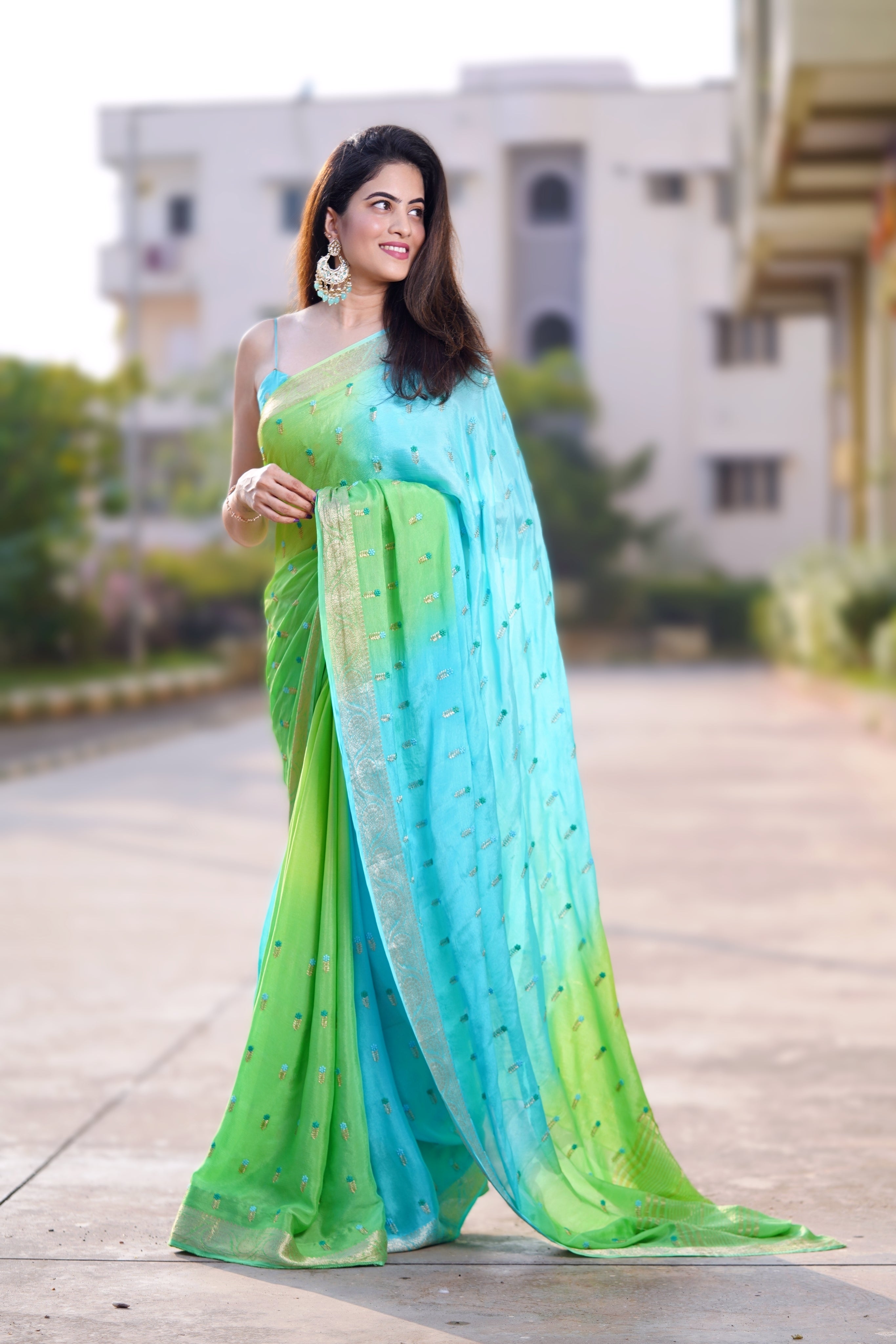 chinnon crepe saree - Anvitha Collections
