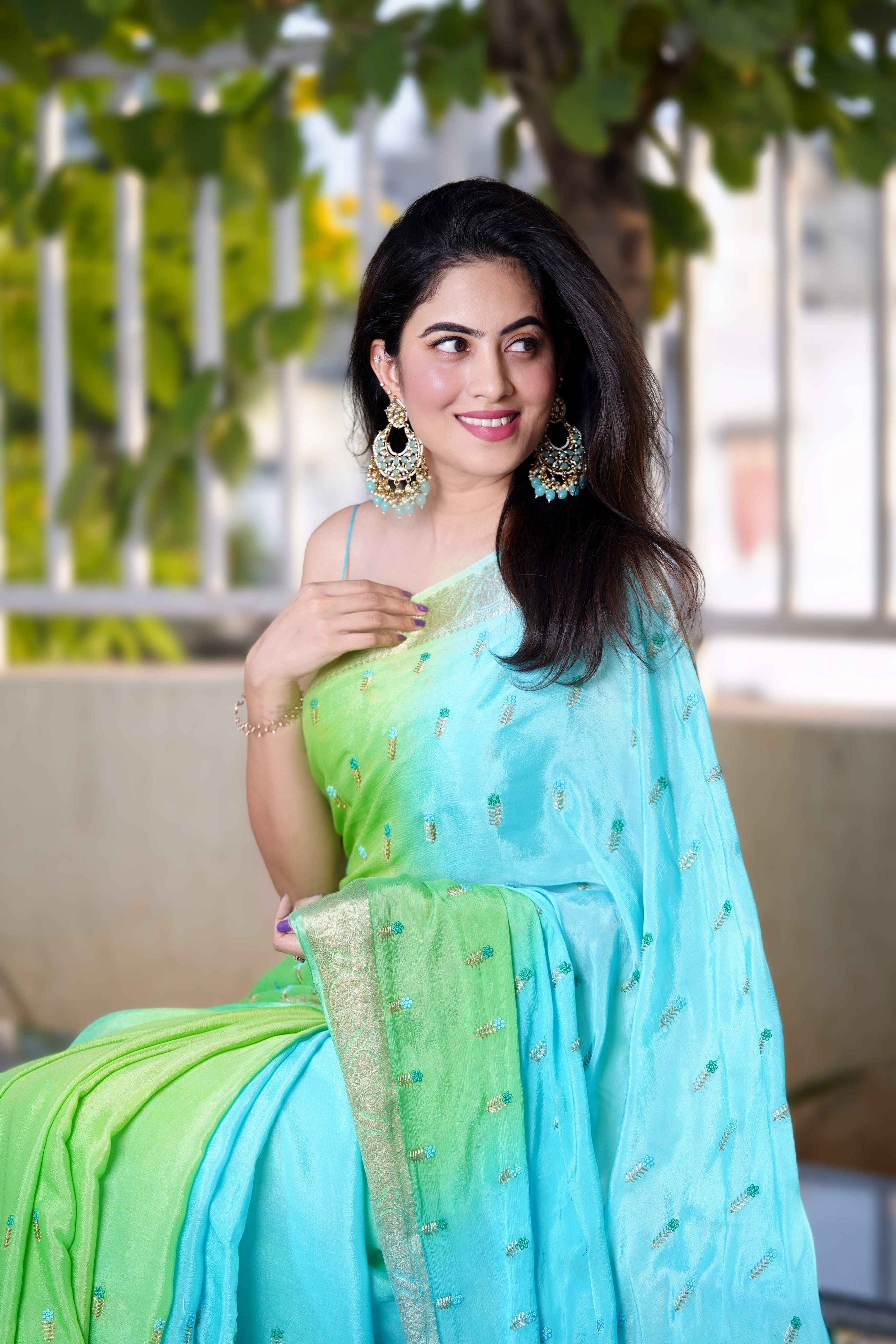 chinnon crepe saree - Anvitha Collections