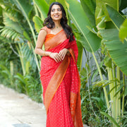 Banarasi Handwoven - Anvitha Collections