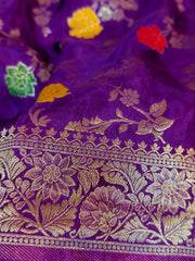 Banarasi Meenakari Saree
