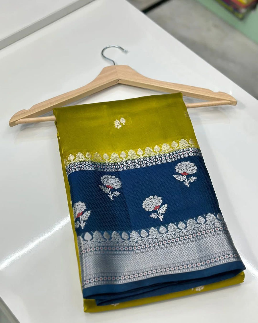 Banarasi handloom silk saree
