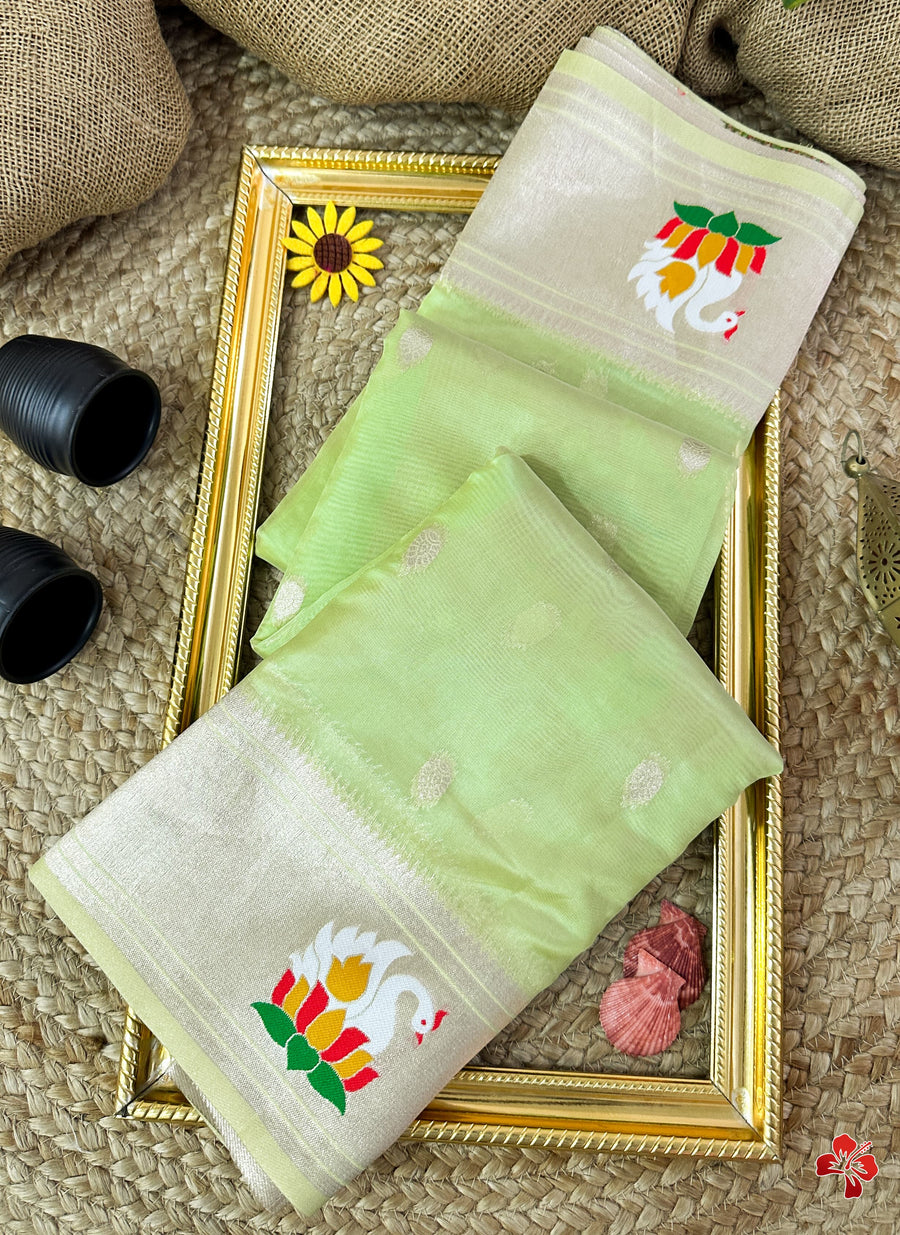 Paithani Organza Saree