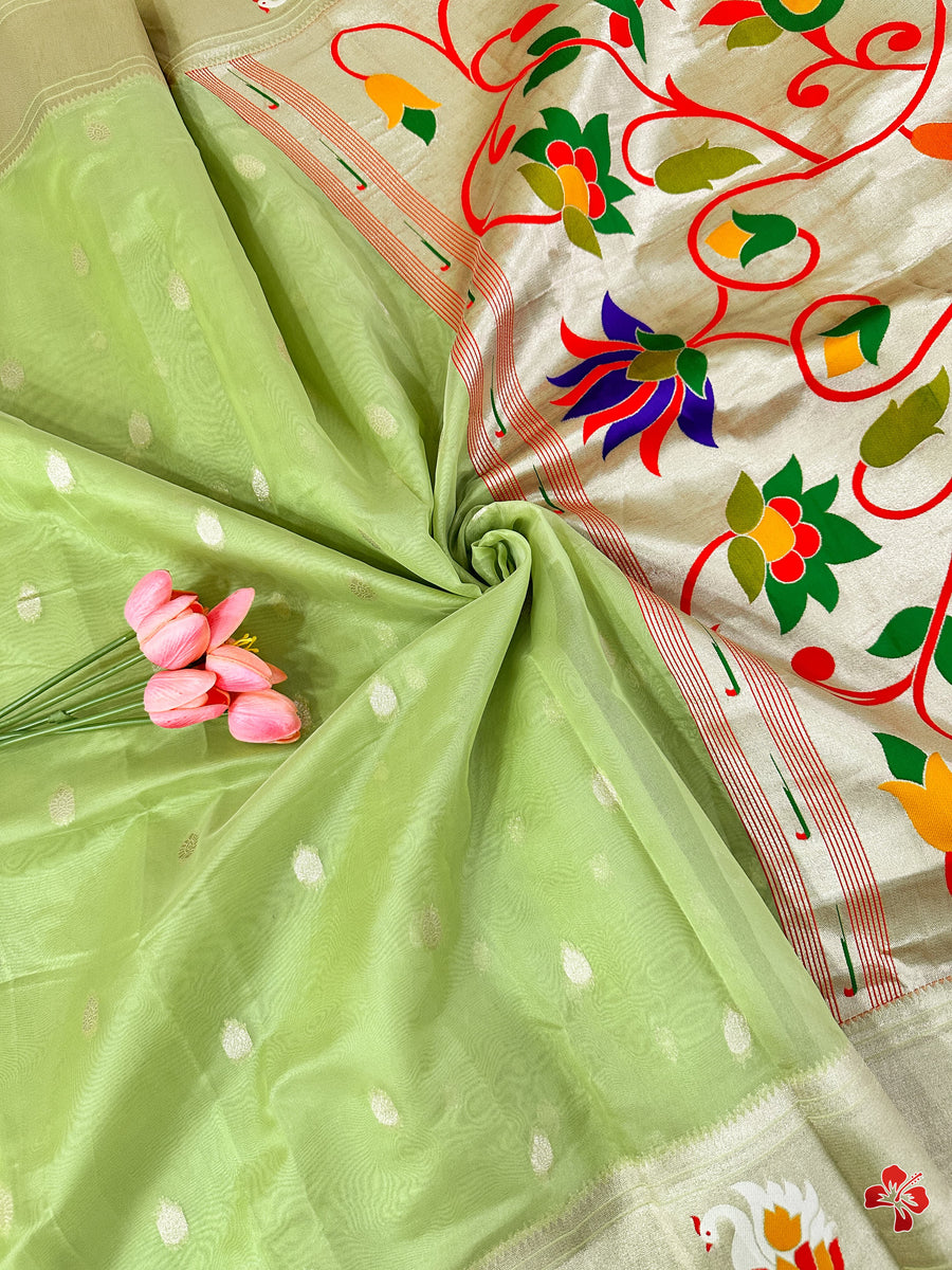 Paithani Organza Saree
