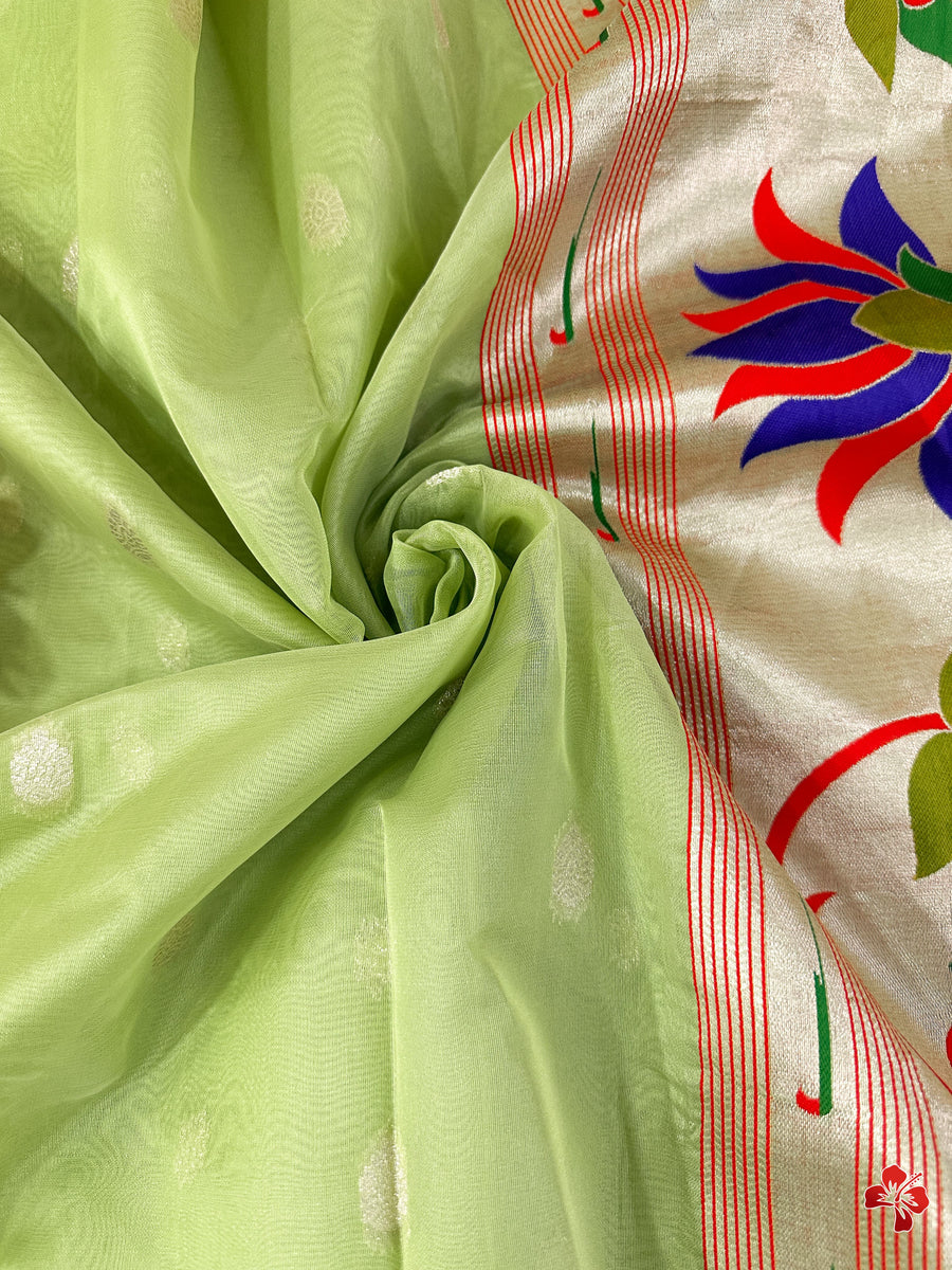 Paithani Organza Saree