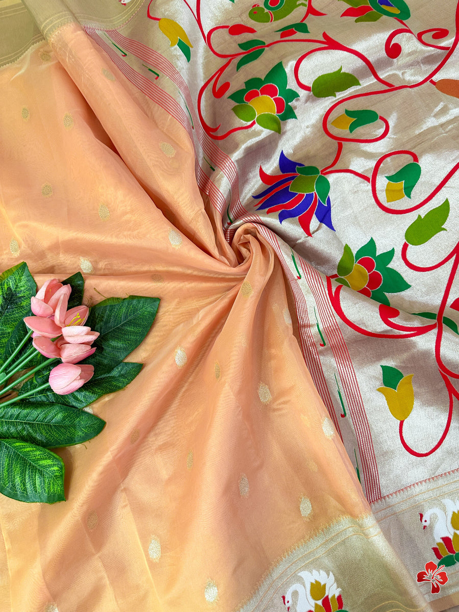 Paithani Organza Saree