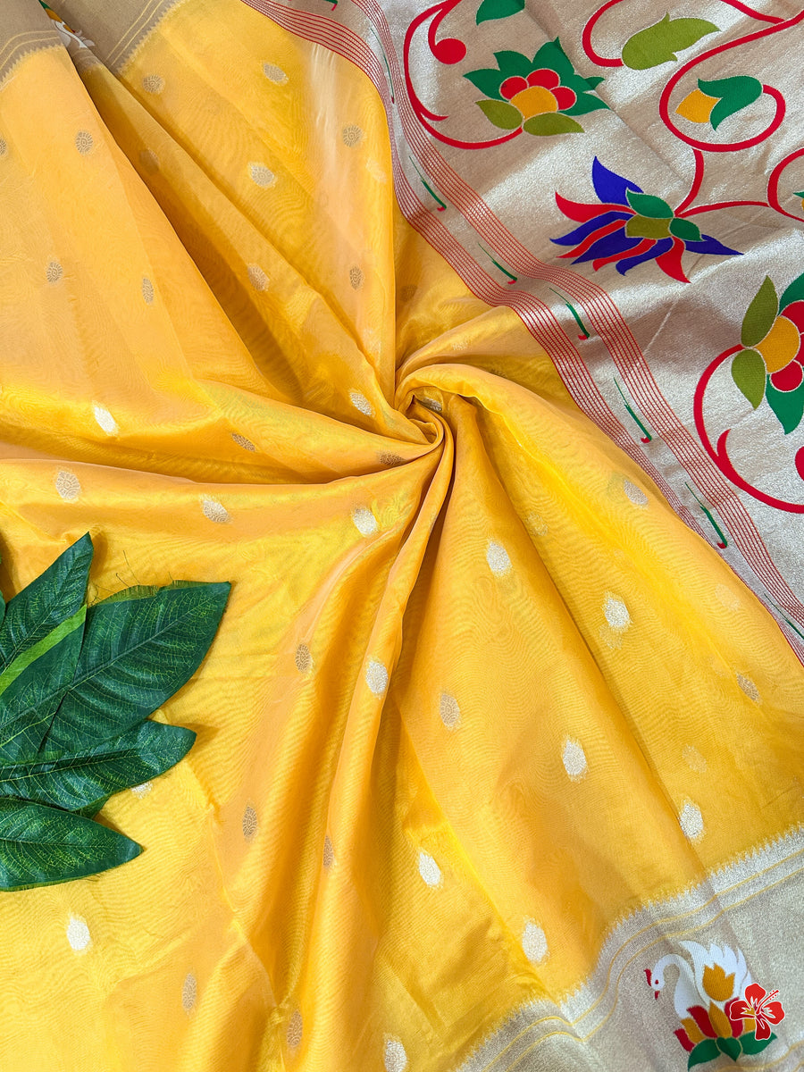 Paithani Organza Saree
