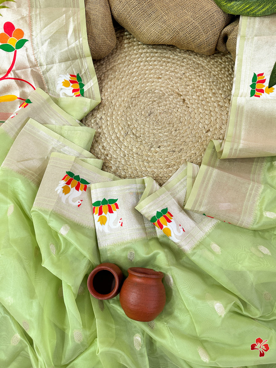 Paithani Organza Saree