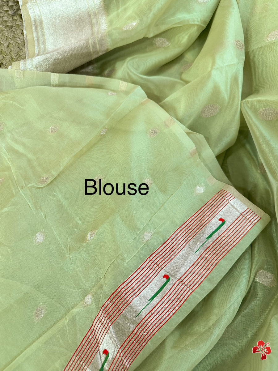 Paithani Organza Saree