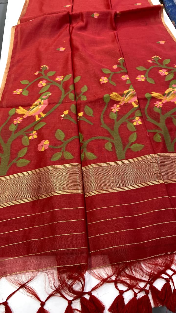 New summer special saree