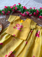 Soft Mul Chanderi lehenga and blouse