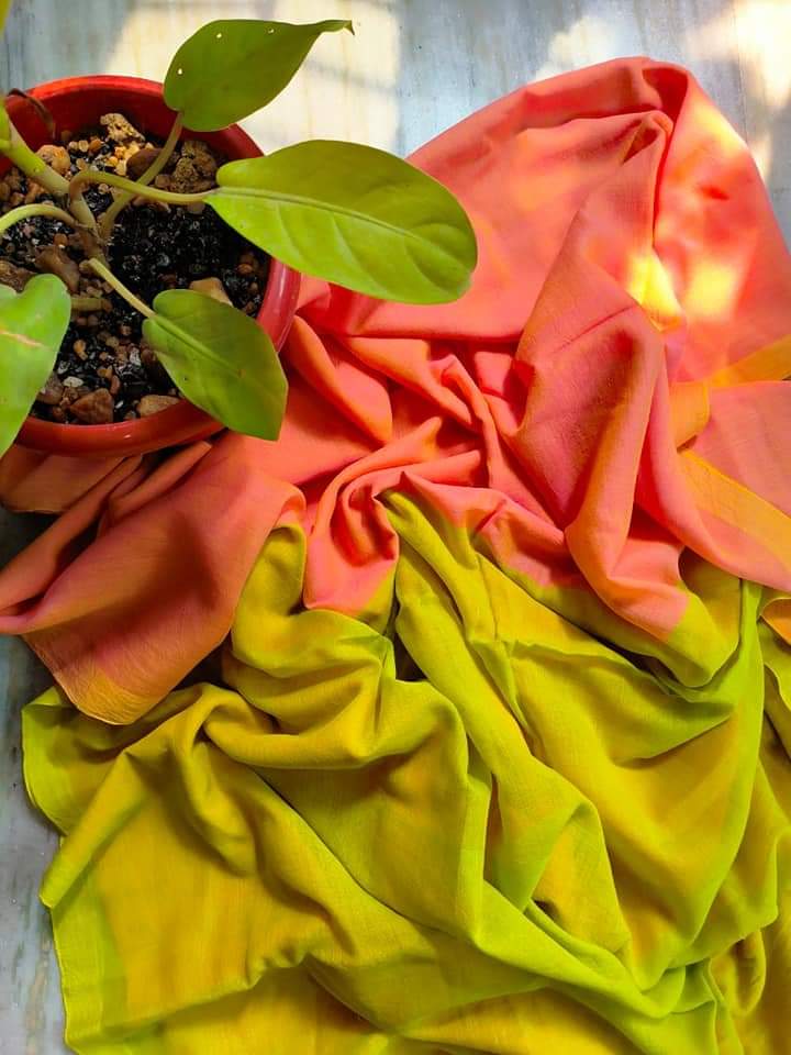 Elegant Khadi Cotton Saree