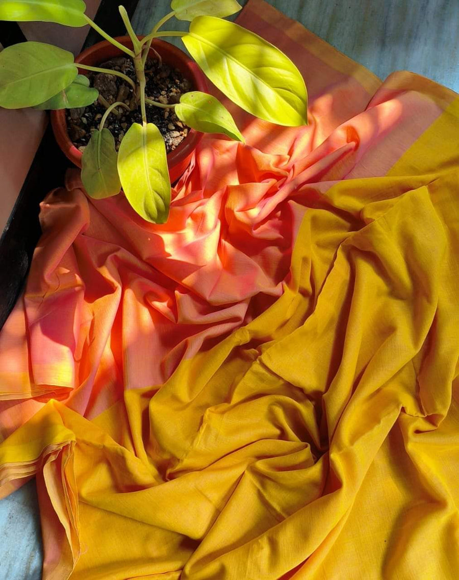Elegant Khadi Cotton Saree