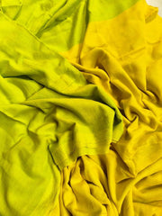 Elegant Khadi Cotton Saree