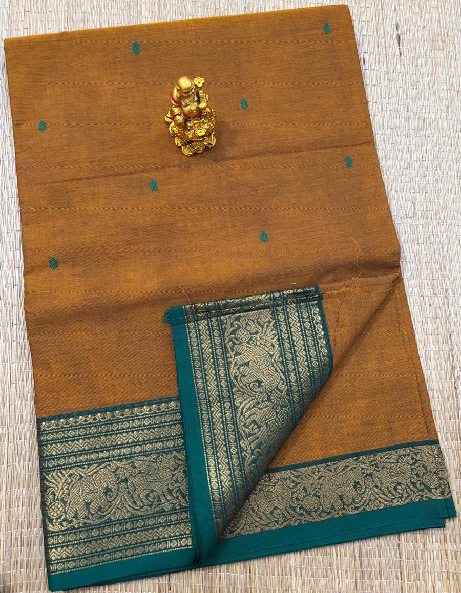 Kanchi cotton