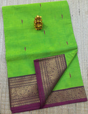 Kanchi cotton