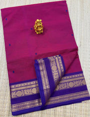 Kanchi cotton