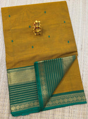 Kanchi cotton